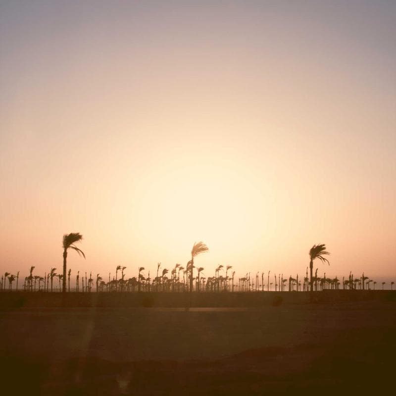 Seagate Max 422 Graphics Card